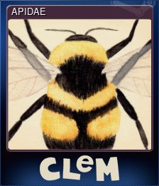 Series 1 - Card 2 of 5 - APIDAE