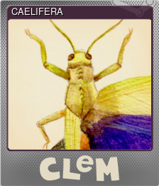 Series 1 - Card 3 of 5 - CAELIFERA