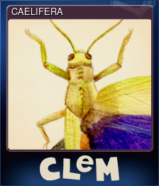 Series 1 - Card 3 of 5 - CAELIFERA