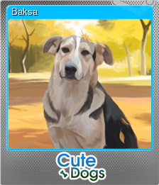 Series 1 - Card 3 of 5 - Baksa