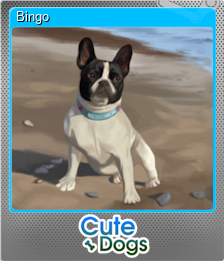 Series 1 - Card 4 of 5 - Bingo