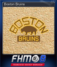 Boston Bruins