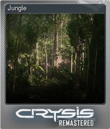 Series 1 - Card 4 of 8 - Jungle