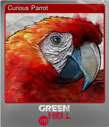 Series 1 - Card 9 of 9 - Curious Parrot