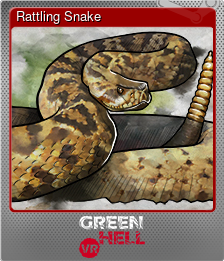 Series 1 - Card 2 of 9 - Rattling Snake