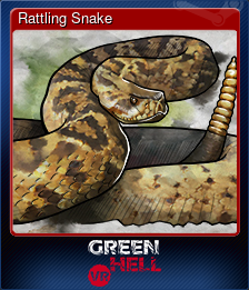 Rattling Snake