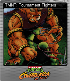 Series 1 - Card 11 of 14 - TMNT: Tournament Fighters