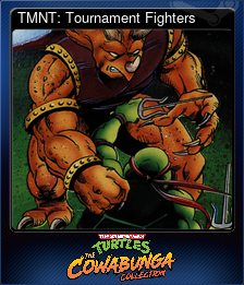 Series 1 - Card 11 of 14 - TMNT: Tournament Fighters