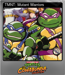 Series 1 - Card 10 of 14 - TMNT: Mutant Warriors