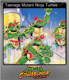 Series 1 - Card 1 of 14 - Teenage Mutant Ninja Turtles