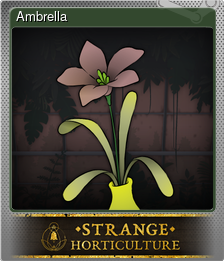 Series 1 - Card 4 of 6 - Ambrella