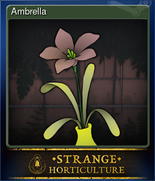 Series 1 - Card 4 of 6 - Ambrella