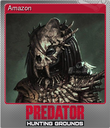 Series 1 - Card 1 of 9 - Amazon