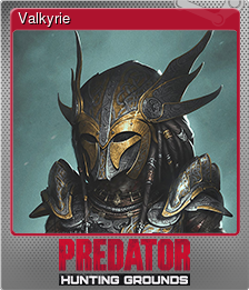 Series 1 - Card 8 of 9 - Valkyrie