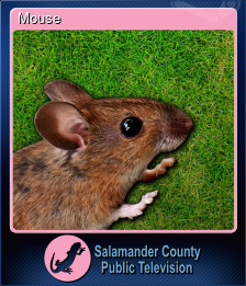 Series 1 - Card 4 of 8 - Mouse