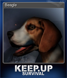 Beagle