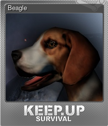 Series 1 - Card 5 of 8 - Beagle