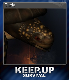 Turtle