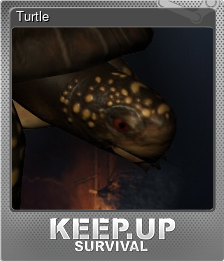 Series 1 - Card 4 of 8 - Turtle