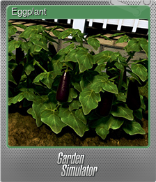 Series 1 - Card 7 of 10 - Eggplant