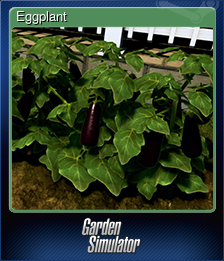 Series 1 - Card 7 of 10 - Eggplant