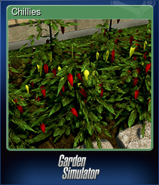 Series 1 - Card 8 of 10 - Chillies