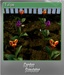 Series 1 - Card 9 of 10 - Tulips