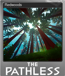 Series 1 - Card 3 of 10 - Redwoods