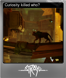 Series 1 - Card 3 of 5 - Curiosity killed who?