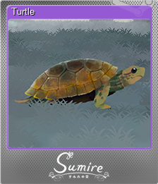 Series 1 - Card 6 of 10 - Turtle
