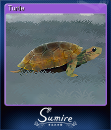 Turtle