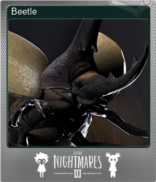Series 1 - Card 2 of 12 - Beetle