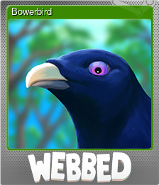 Series 1 - Card 5 of 5 - Bowerbird