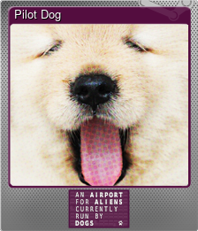 Series 1 - Card 6 of 6 - Pilot Dog