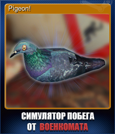 Series 1 - Card 10 of 10 - Pigeon!