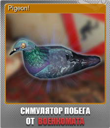 Series 1 - Card 10 of 10 - Pigeon!