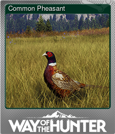 Series 1 - Card 2 of 8 - Common Pheasant