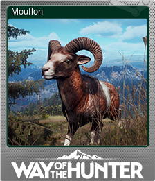 Series 1 - Card 6 of 8 - Mouflon