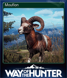 Series 1 - Card 6 of 8 - Mouflon