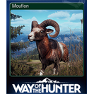 Mouflon