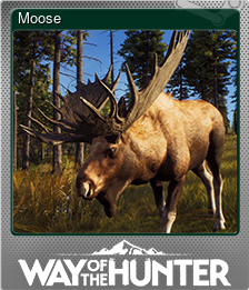 Series 1 - Card 4 of 8 - Moose