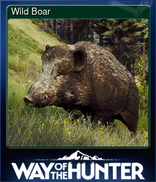 Series 1 - Card 7 of 8 - Wild Boar