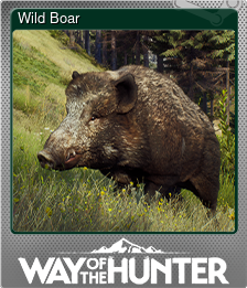 Series 1 - Card 7 of 8 - Wild Boar