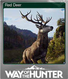 Series 1 - Card 5 of 8 - Red Deer