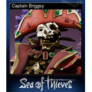 Captain Briggsy