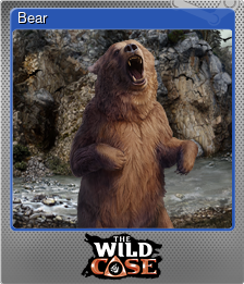 Series 1 - Card 1 of 8 - Bear