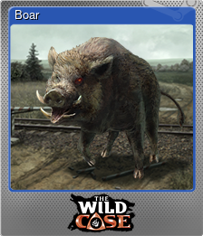 Series 1 - Card 7 of 8 - Boar