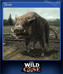 Series 1 - Card 7 of 8 - Boar