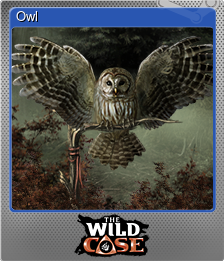 Series 1 - Card 8 of 8 - Owl