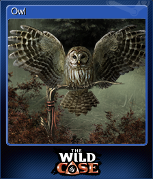 Series 1 - Card 8 of 8 - Owl